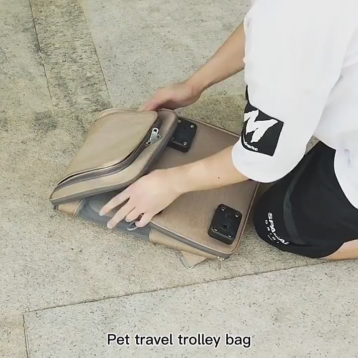 video Zaino Trolley Pieghevole per Gatti - Con Ruote Universali
